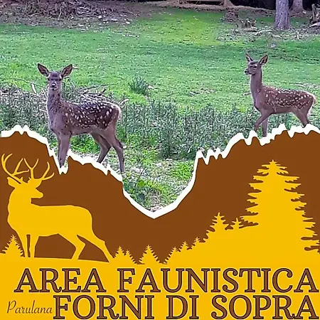 Meuble Tarandan Forni di Sopra