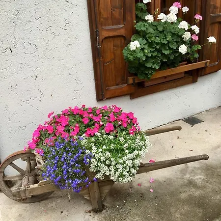 Meuble Tarandan Hotel Forni di Sopra