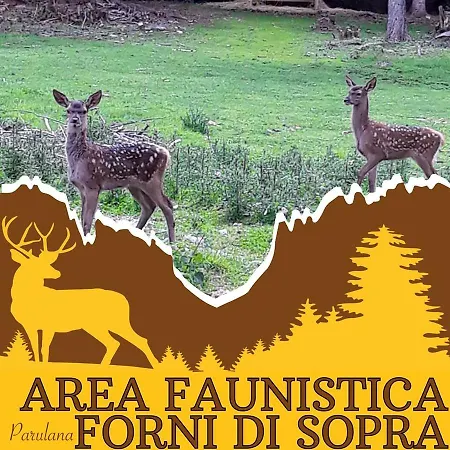 Meuble Tarandan Forni di Sopra